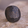 Tortue – Image 3